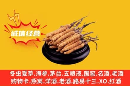 宝鸡回收冬虫夏草